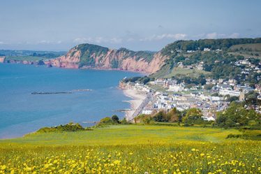 Welcome to our Sidmouth blog