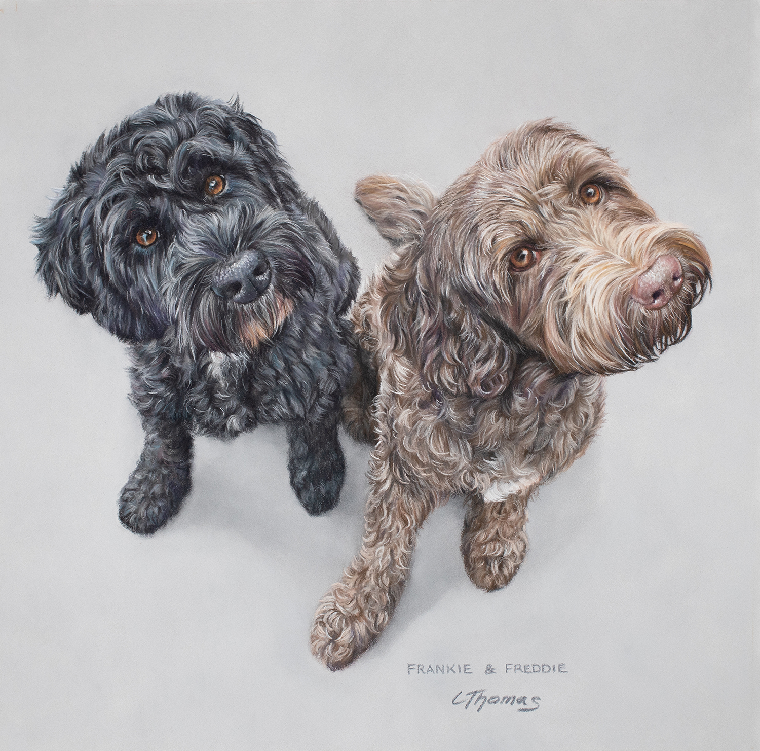 Portrait of two dogs